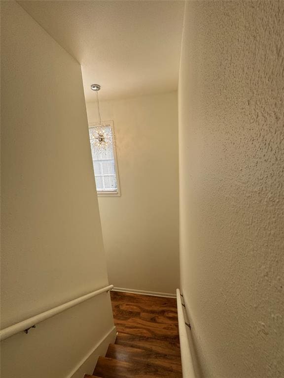 Building Photo - 4701 Sagebrush Cir