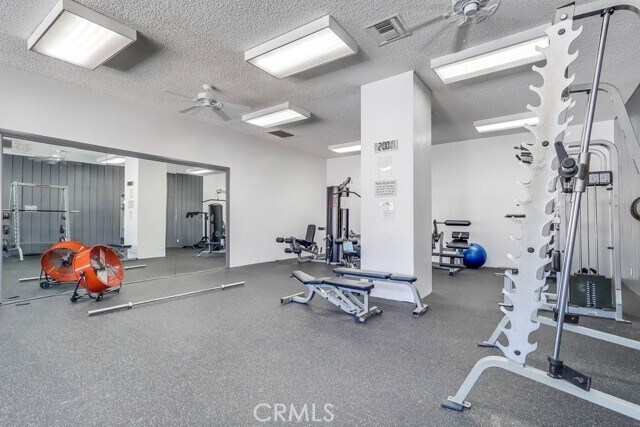 Building Photo - 5585 E Pacific Coast Hwy