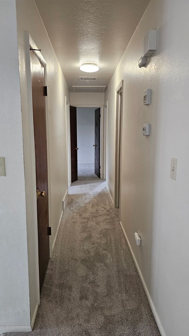 Building Photo - Spacious Bi Level home backing to open spa...