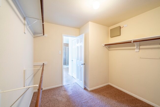 Building Photo - 3906 Waterford Ln