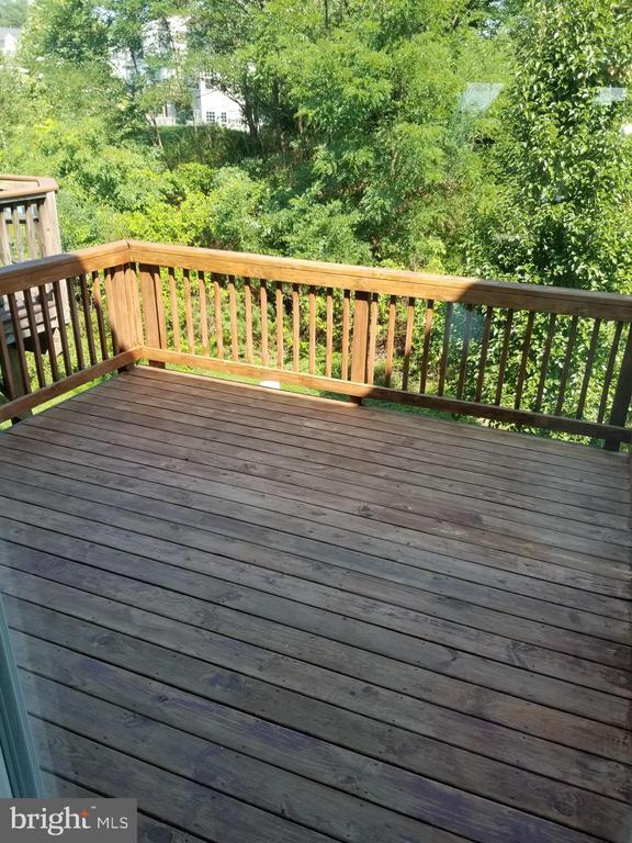 Building Photo - 41 Rapidan Dr