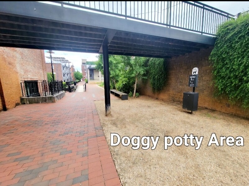 Building Photo - 1009 Jefferson St