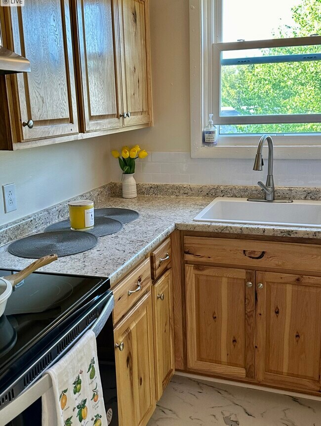 Kitchen - 91 Faith St