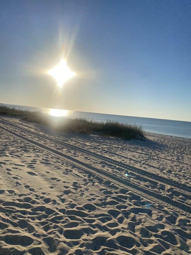 Building Photo - 279 Caillavet St