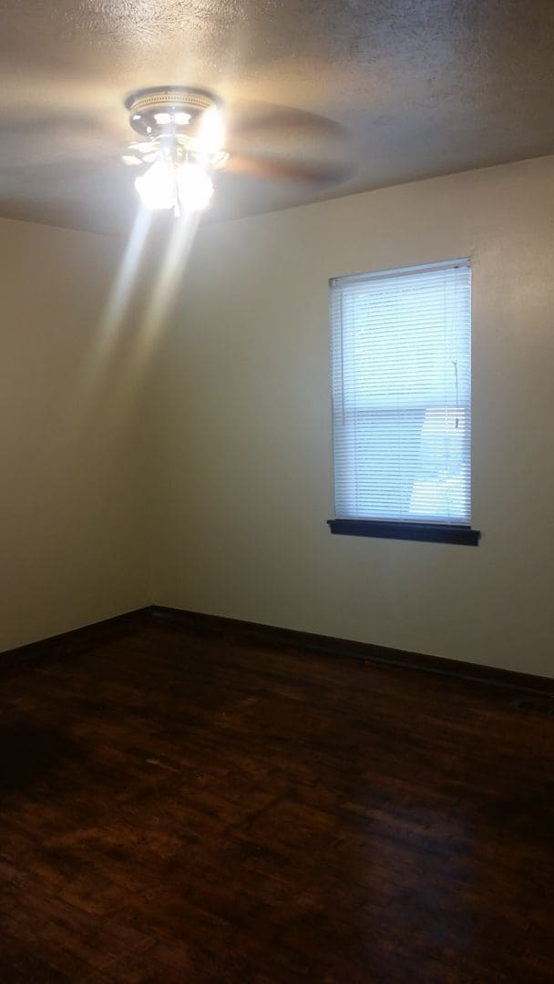 Building Photo - Vibrant 3 bedroom 1 bathroom