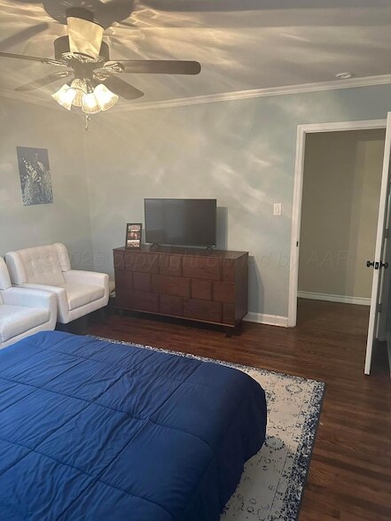 Building Photo - 1118 Bellaire St