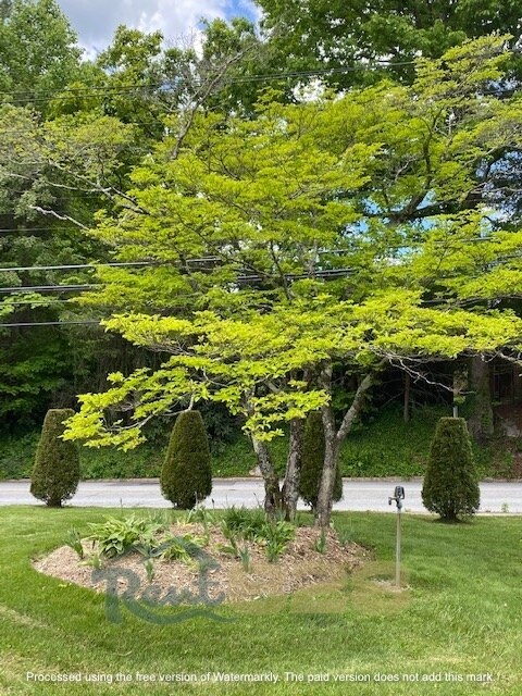 Building Photo - 540 Blythe St