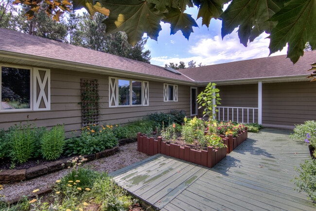 Front Yard - 3373 Whispering Pines Ln