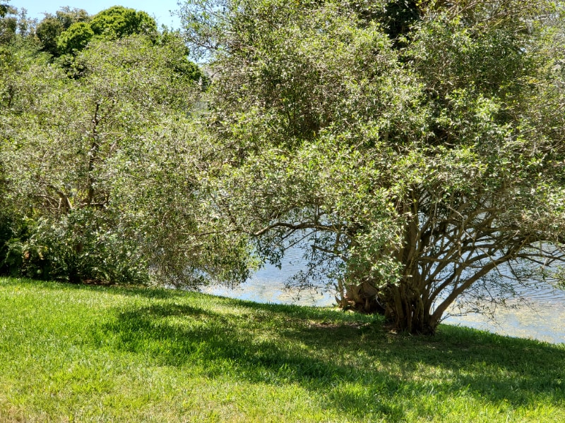 Building Photo - 2042 Alta Meadows Ln