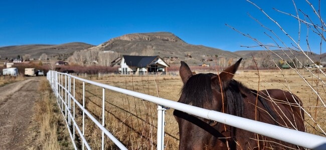 Building Photo - Winter Rental