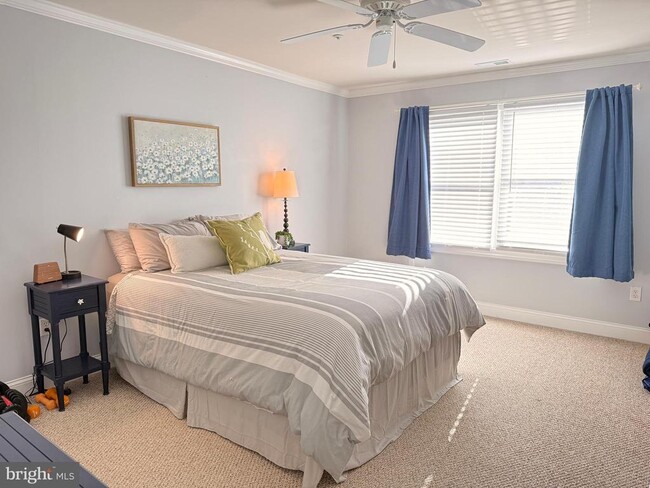 Building Photo - 907 Auckland Way