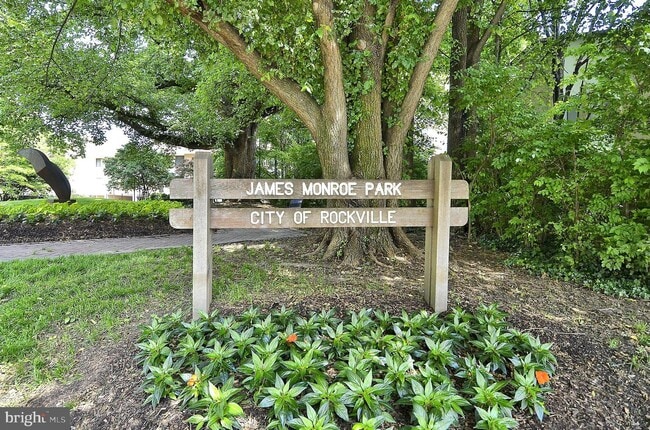 Building Photo - 4 Monroe St