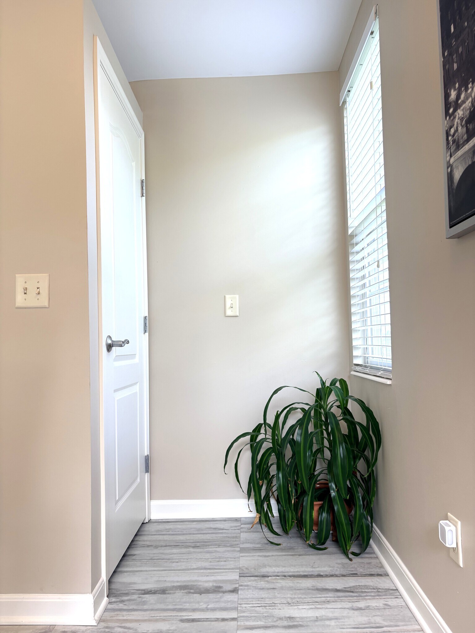 Building Photo - 257 Skyview Ct