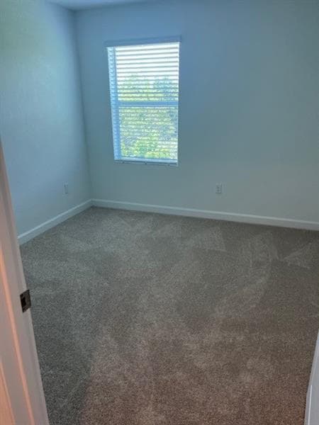 Building Photo - 4393 Hammock Grove Dr