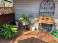 Building Photo - 271 Summerwalk Cir