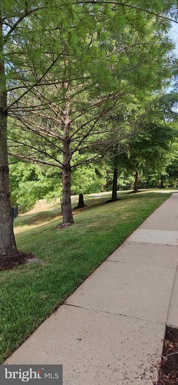 Building Photo - 12332 Rollys Ridge Ave