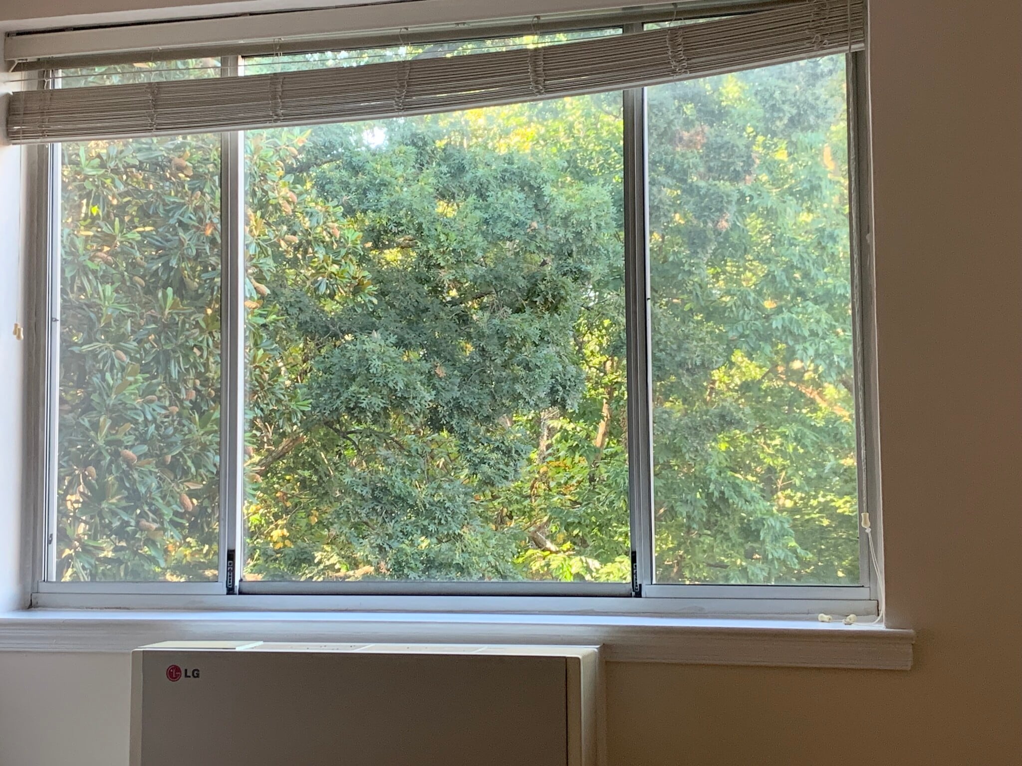Dream-like view from bedroom - 4100 W St NW