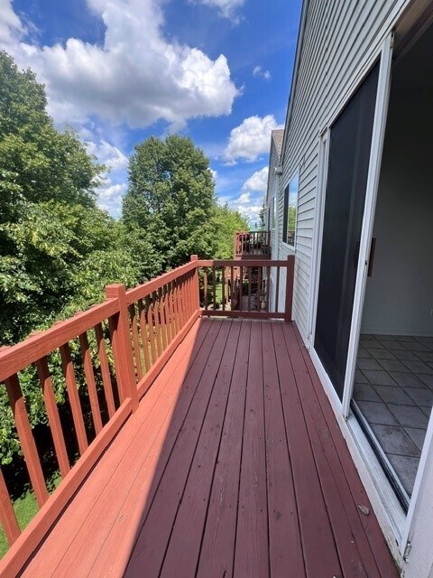 Building Photo - 1429 Meadowsedge Ln