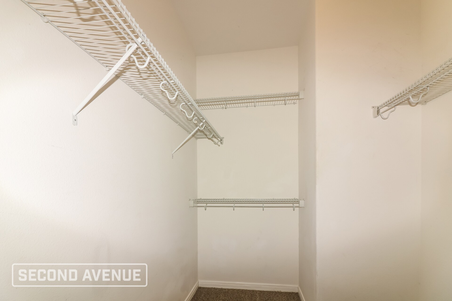 Building Photo - 1117 Livermore St