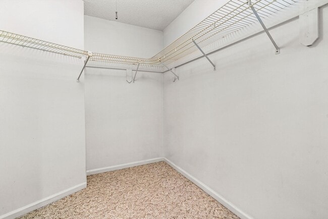 Building Photo - 93 Spyglass Hill Dr