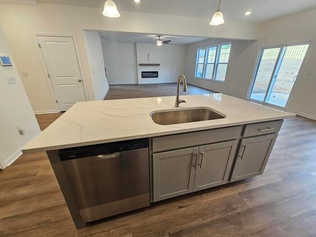 Building Photo - Brand new home in Chapin 5/3