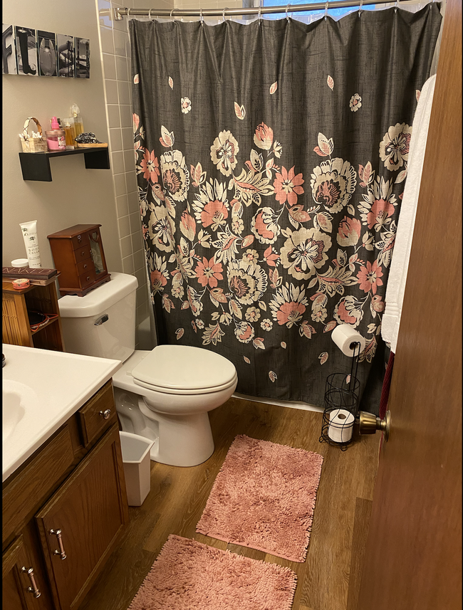 Downstairs Bathroom - 151 5th Ave SE