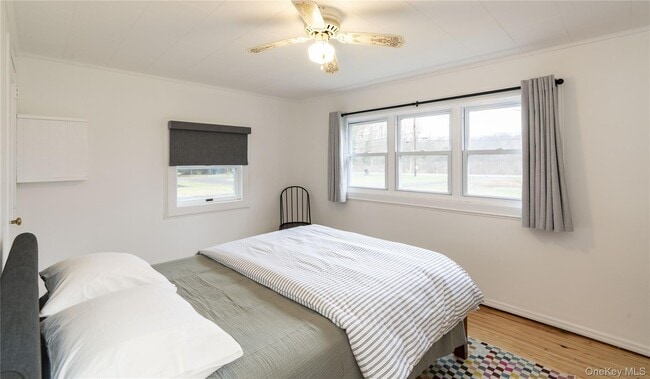 Building Photo - 257 Mill Rd