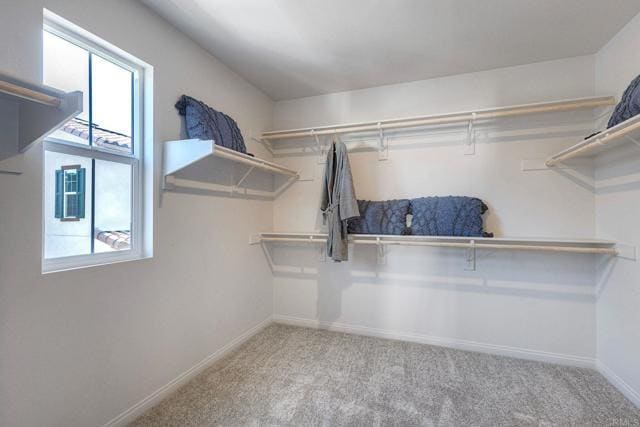 Building Photo - 26546 Bonneau Ln