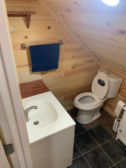 Sink, toilet, towel racks, and two cabinets for storage - 135 Lock Seven Ln