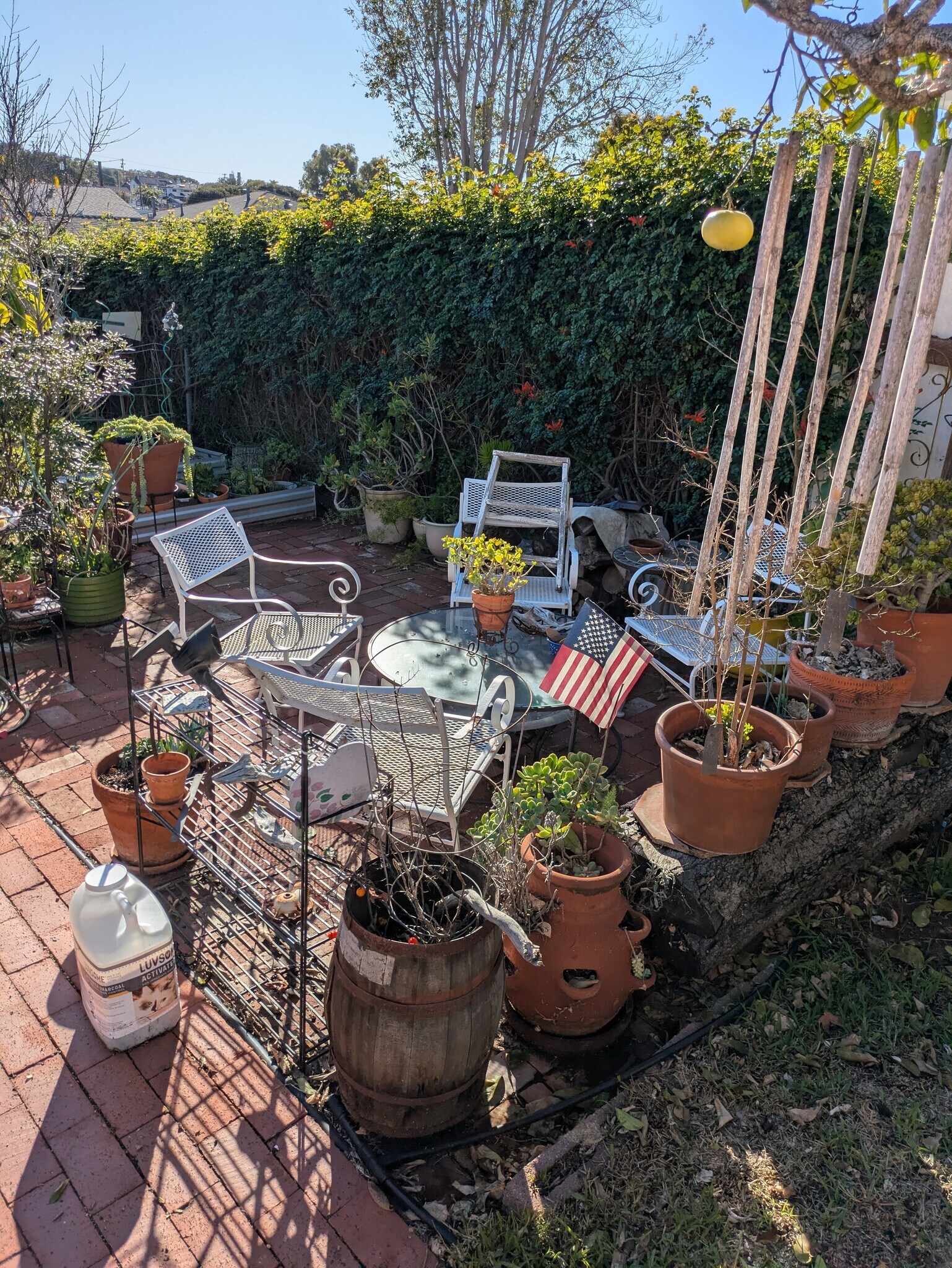 Building Photo - 522 E Maple Ave