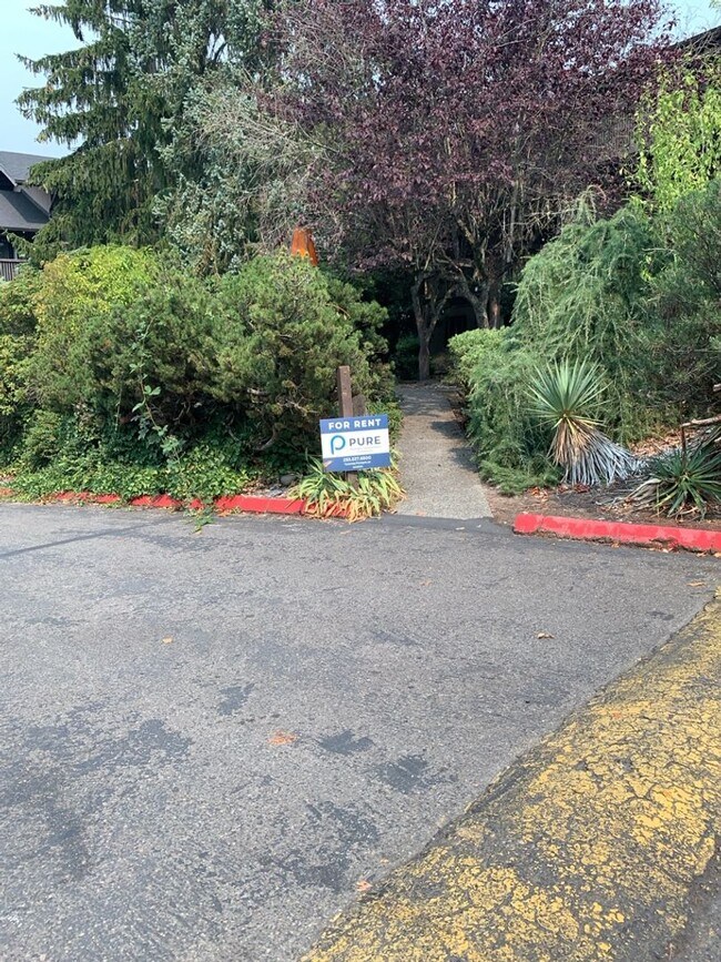 Building Photo - Beautiful Ground Floor Unit-  1BD/1.5BA