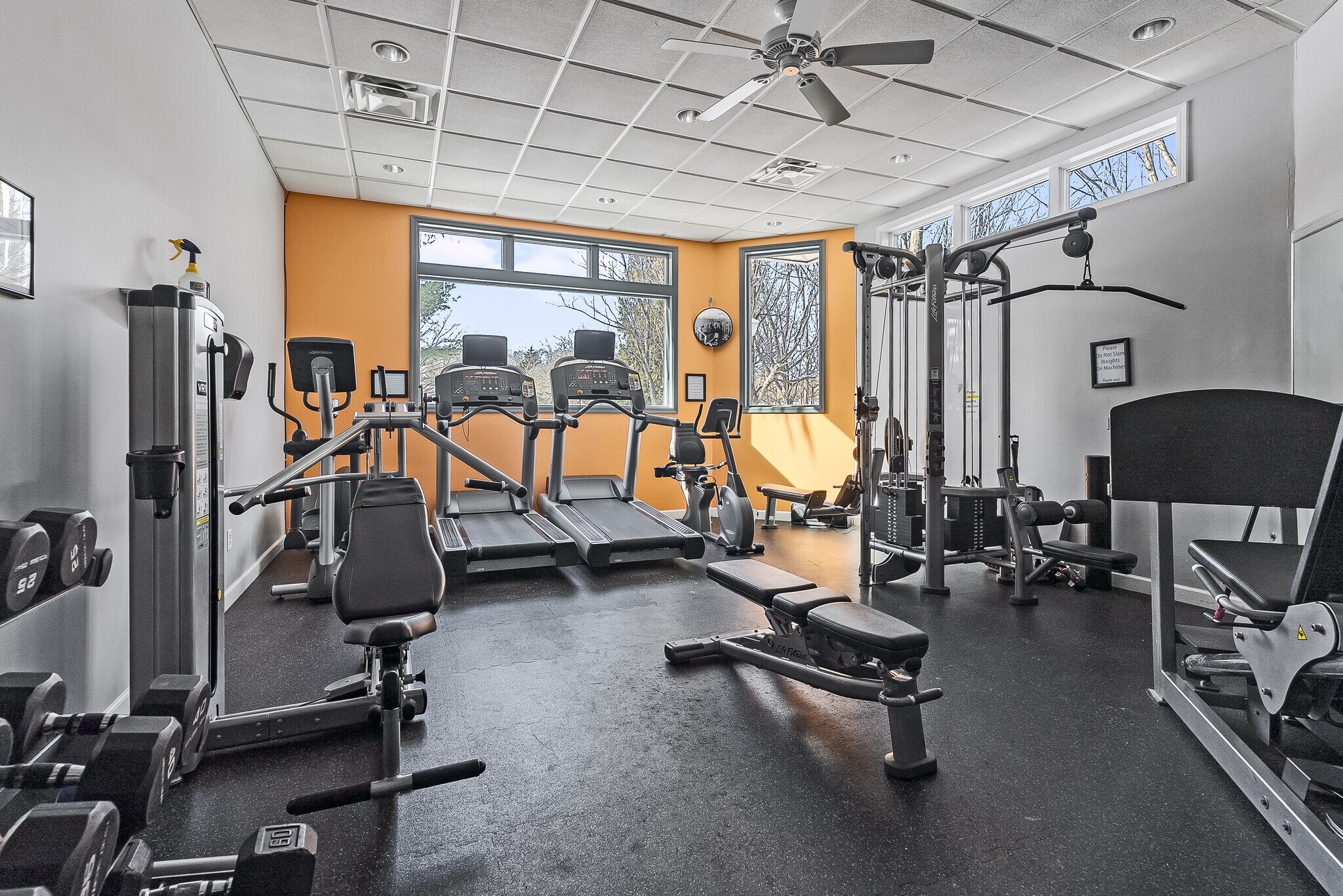 Building Photo - 56 Maple Ln