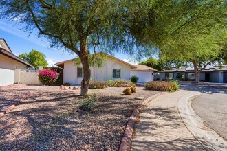 Building Photo - Updated South Scottsdale Gem Near Old Town – No HOA!