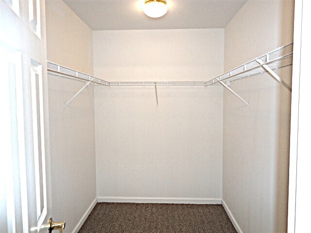 Building Photo - 322 Brookview Dr
