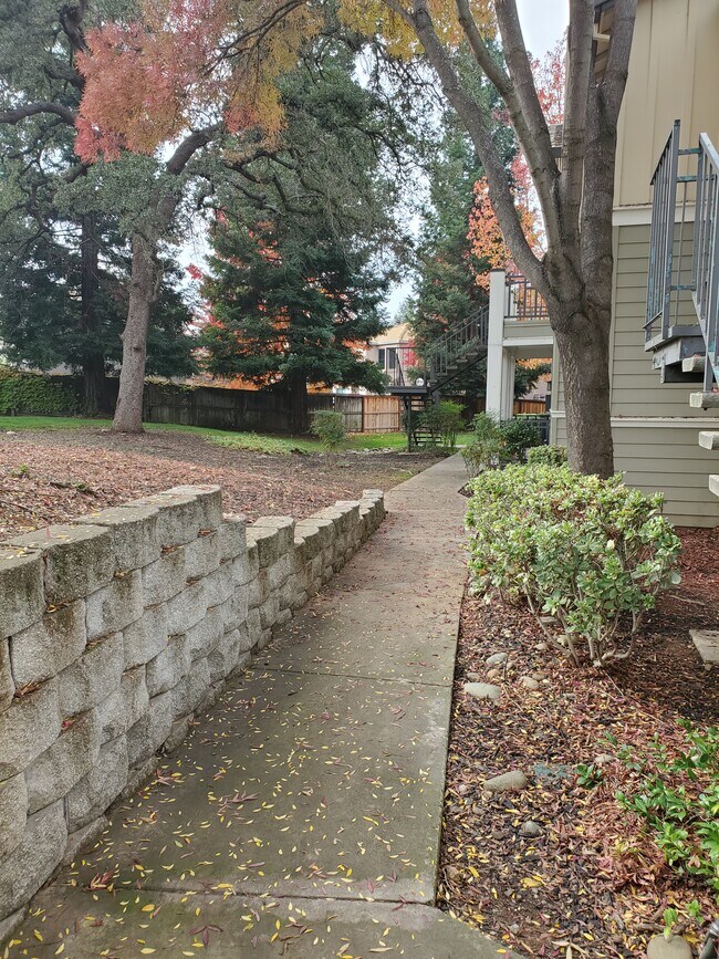 240 Natoma Station Dr 240 Natoma Station Dr Folsom CA 95630 Apartment Finder