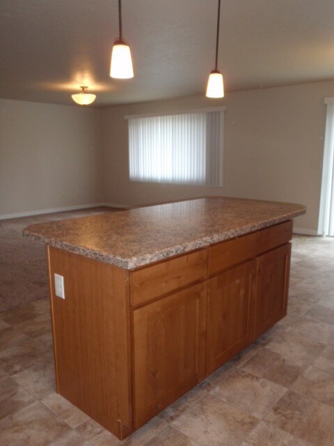 Building Photo - Newer house with attached garage. Half mon...