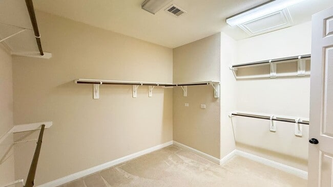 Building Photo - 5219 Birch Falls Ln