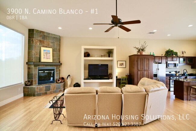 Building Photo - 3900 N Camino Blanco