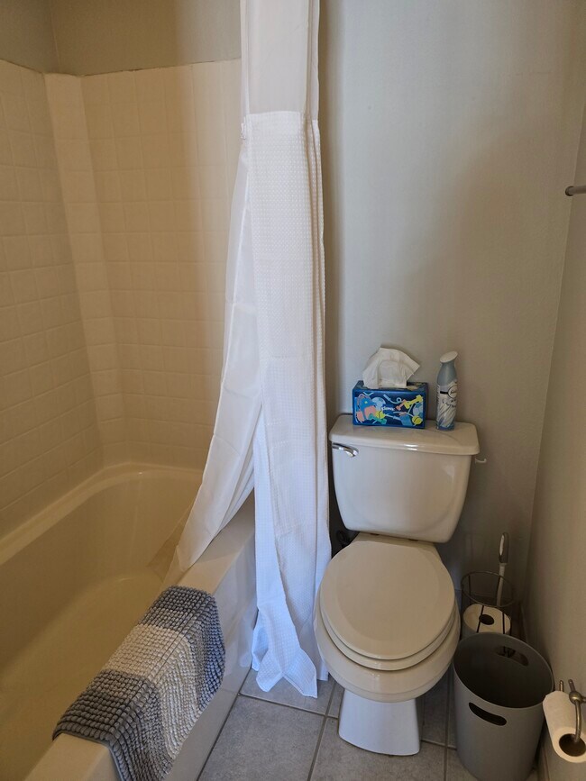 Primary bathroom - 801 Luther St W