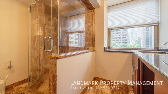 Building Photo - 253 E Delaware Pl