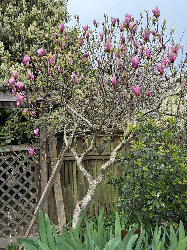 Building Photo - The Perfect Restored University Heights Home -available for rent now!