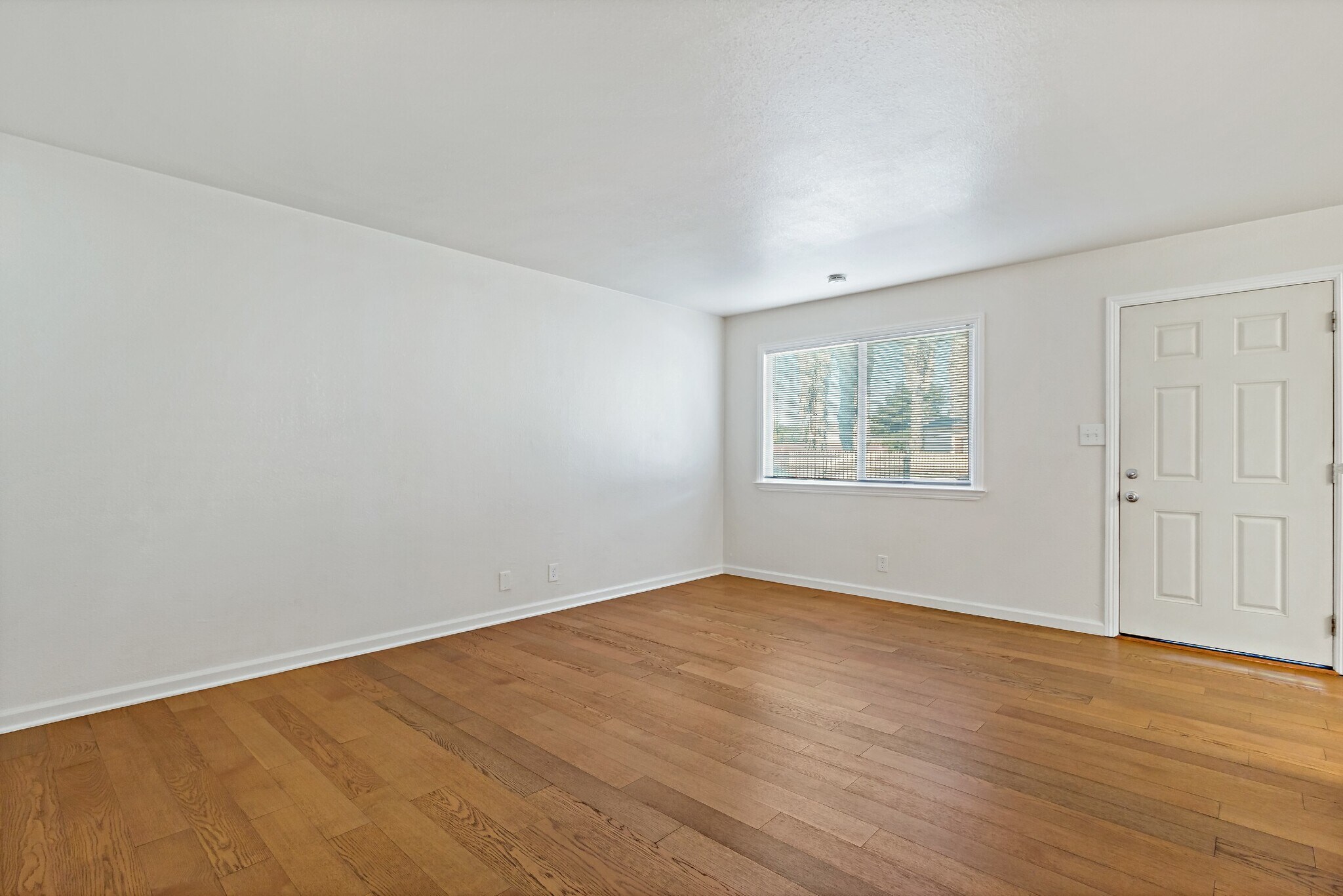 Building Photo - 10582 Topanga Dr