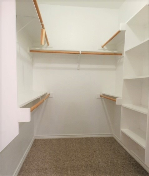 Building Photo - 5547 Cecina Dr