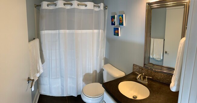 Bathroom - 3815 Cuming St