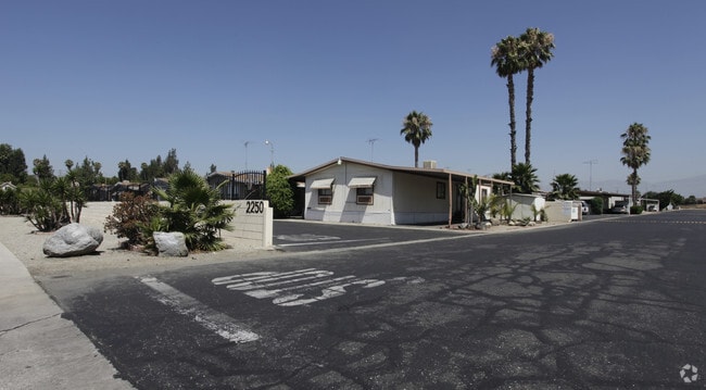 Primary Photo - Royal York Estates