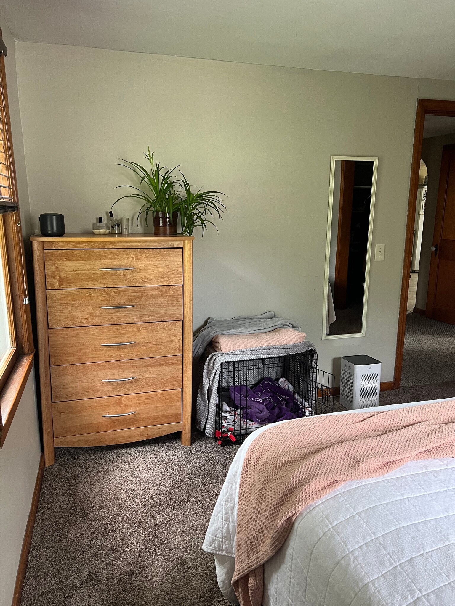 Bedroom 1 - 1004 Desnoyer St
