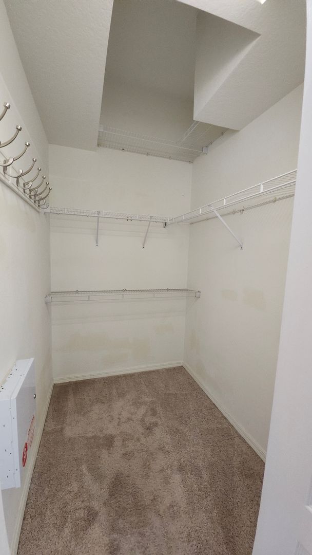 Building Photo - 1813 Greystone Heights Dr