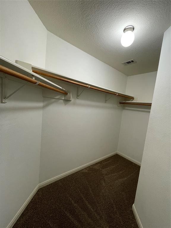 Building Photo - 28969 San Bernard River Loop