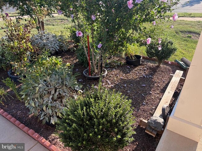 Building Photo - 7546 Mint Springs Ct