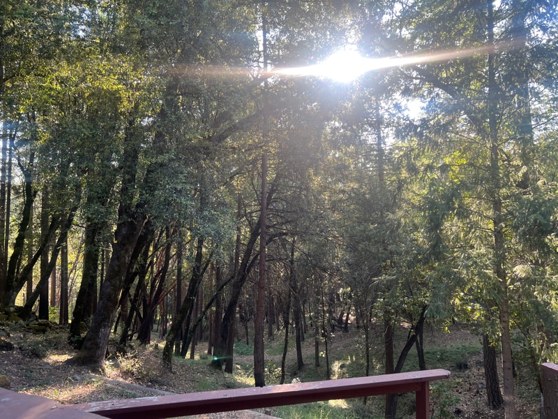 Building Photo - 18833 Rock Creek Rd